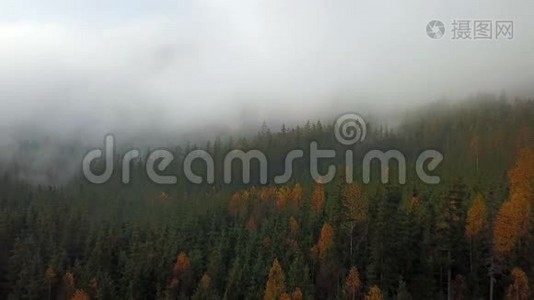 晨雾的高山空中景色视频