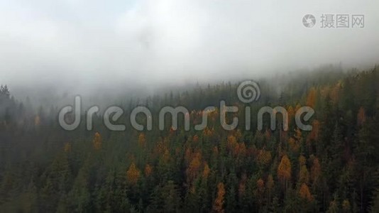 晨雾的高山空中景色视频