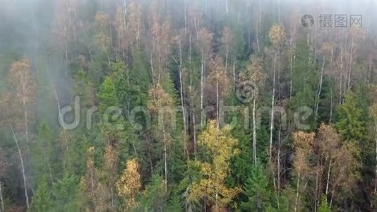 晨雾的高山空中景色视频