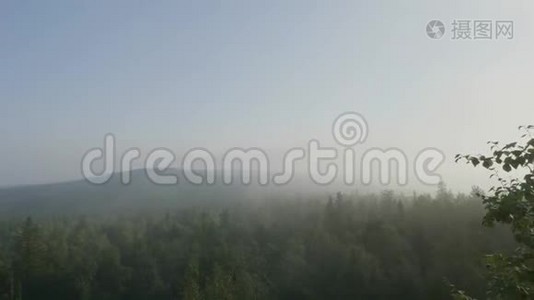 鸟瞰风景`日落在森林山上。 夏日的山景。 森林附近的旅游帐篷视频