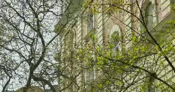靠近建筑物墙壁的春天绿树视频