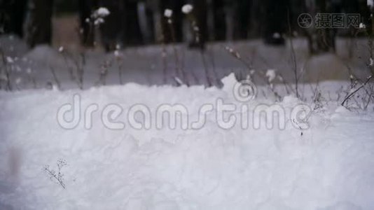 在雪天的冬天森林里，人们在深雪中奔跑。 慢动作视频