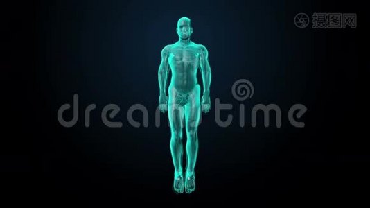 旋转人体皮肤，蓝色X光图像..视频