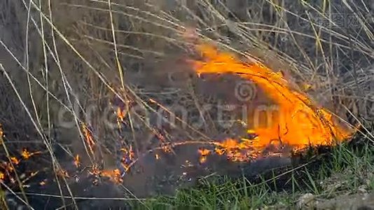 田野里的干草着火了视频