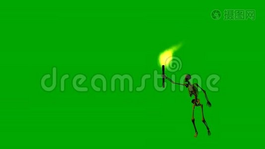 骷髅用火把潜入夜绿的屏风视频