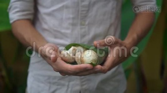 环保产品包装理念.. 用香蕉叶包裹的蔬菜，作为塑料袋的替代品。 零视频