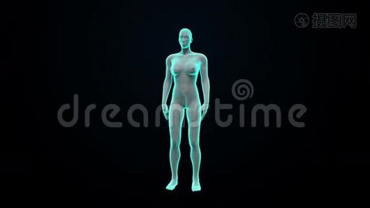 女性人体扫描内脏，消化系统。 蓝色X光灯..视频