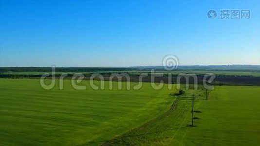 一片无边无际的绿色稻田，与远处的村庄依画山相望视频