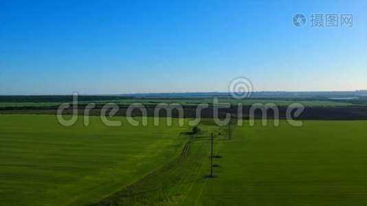 一片无边无际的绿色稻田，与远处的村庄依画山相望视频