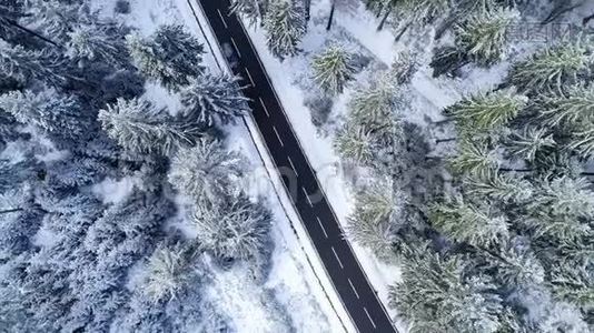 穿过冬天森林的道路的鸟瞰图视频