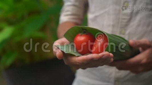 环保产品包装理念.. 用香蕉叶包裹的蔬菜，作为塑料袋的替代品。 零视频