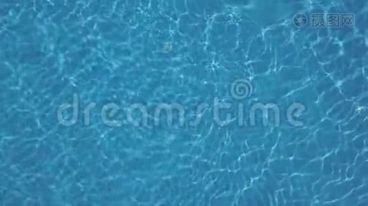 年轻女子在游泳池游泳视频