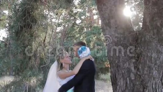 新郎在阳光的公园里拥抱新娘视频