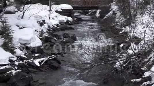 冬季森林河。 慢动作。视频