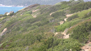 狂风的海岸线10秒视频