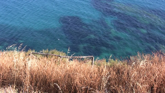 海岸视频