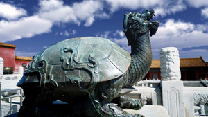 美丽的中国古建筑紫禁城神龟10秒视频