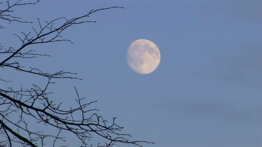 秋天夜晚的月亮视频