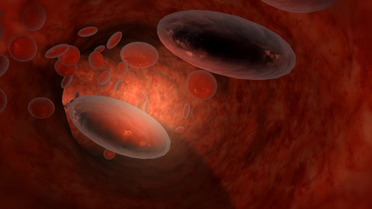 人体内的血细胞背景视频视频