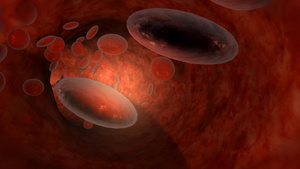 人体内的血细胞背景视频10秒视频