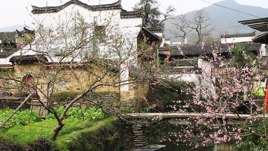 中国美丽的村庄视频