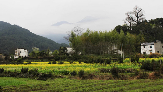 美丽的乡村视频