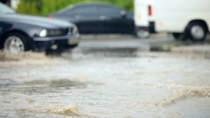 大雨过后水中开车23秒视频