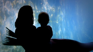 母亲和婴儿通过一个大窗户看海豹15秒视频