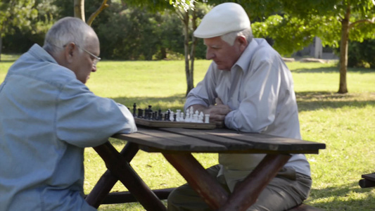 在公园下棋的老人视频