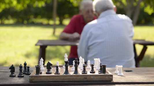 两位老人在公园里下棋视频