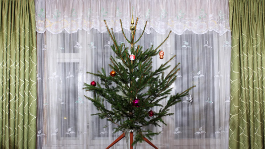 装饰圣诞树和夜间照明的停止视频