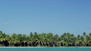 岛屿全景，有许多棕榈树和清澈的蓝海17秒视频