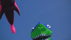 飞在天上的鲨鱼风筝28秒视频
