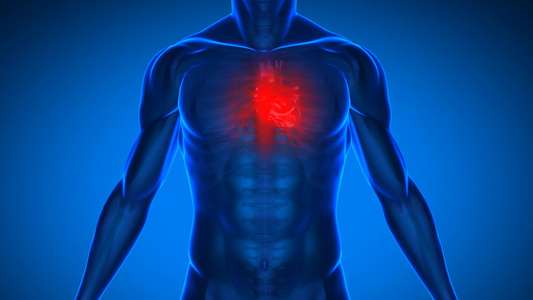 3D医疗人类心脏视频