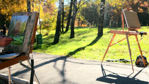 公园里画秋天风景的艺术家21秒视频
