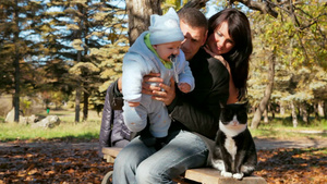 年轻夫妇秋天公园的长凳上抱着可爱的婴儿他们在看着猫16秒视频