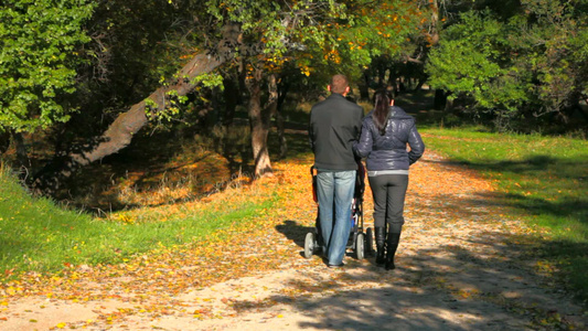 年轻的夫妇推着婴儿车在秋天的公园里散步视频