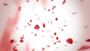 坠落玫瑰花瓣环动画12秒视频