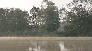 雾天的河道21秒视频