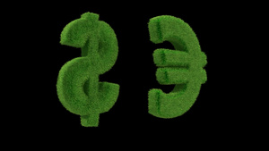 货币符号由草环和哑光制成20秒视频