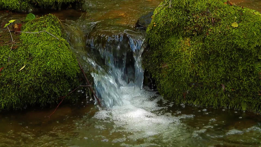 苔藓石头的森林小溪的细节视频