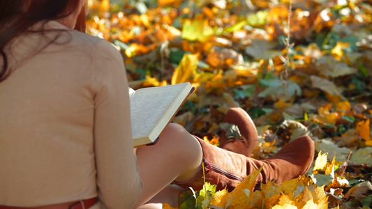 女学生坐在落叶中读书背影视频