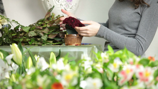 花店整理花的女人视频