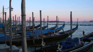 贡多拉停泊在威尼斯圣马可运河20秒视频
