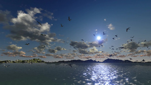 飞翔夕阳与海和山岭的鸟19秒视频