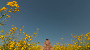 女孩在黄色花丛中伸展双臂13秒视频