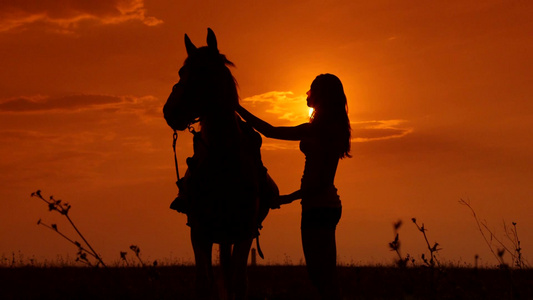 夕阳下女人在抚摸马匹的剪影视频