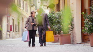 老年夫妇携手购物逛街20秒视频