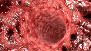 模拟进入人类的喉咙部位10秒视频