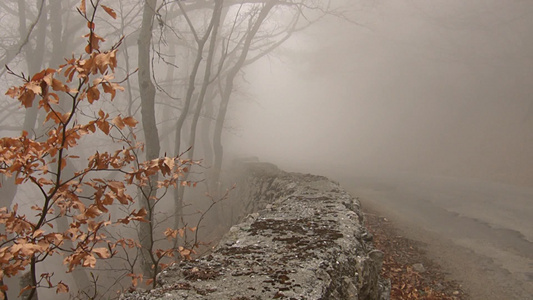 秋天清晨郊外浓雾山路小径视频